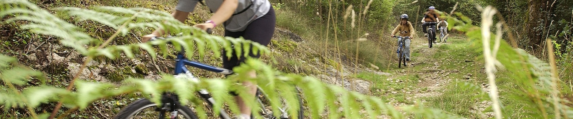 animateurs et enfants en VTT sur les chemins de Lathus