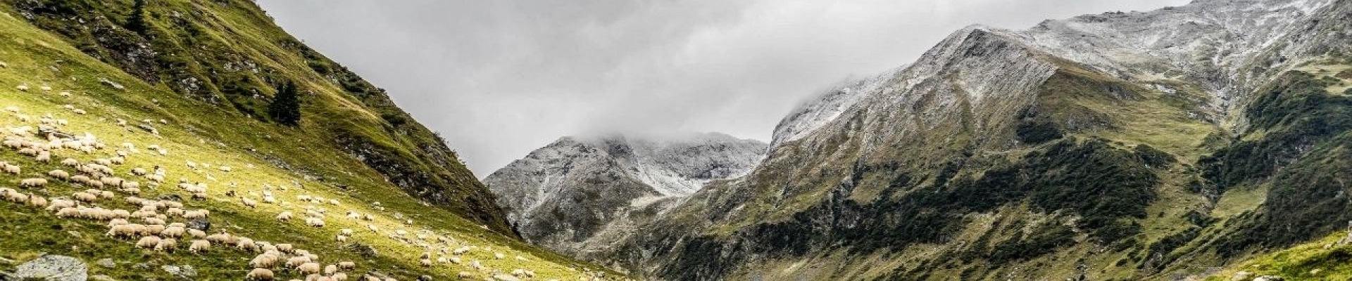 Photo background les Cevennes