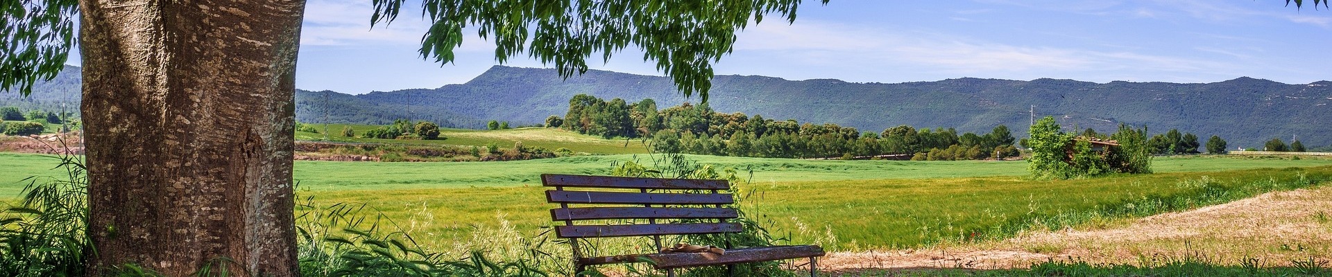 Banc campagne vert