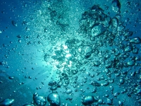 Océan bleu bulles