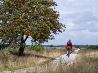 Cycliste campagne vacances