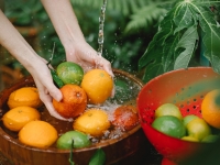 Panier légumes et fruits