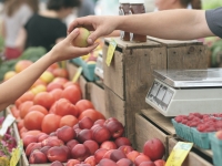 Echange fruits légumes marché 