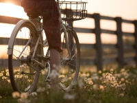 Balade à vélo campagne France