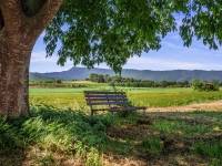 Banc campagne vert