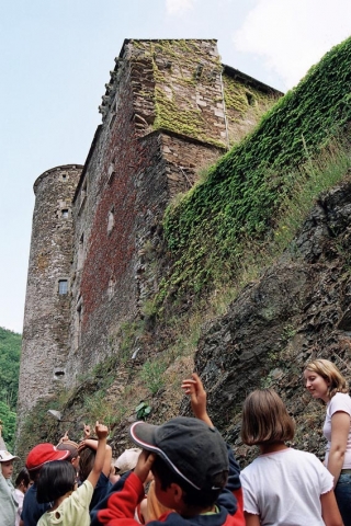 Château de Coupiac-Aveyron