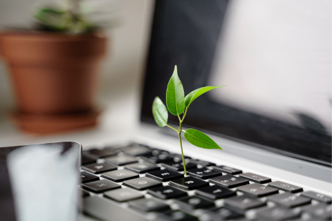 La démarche durable dans le digital