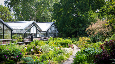 Photo de jardin botanique