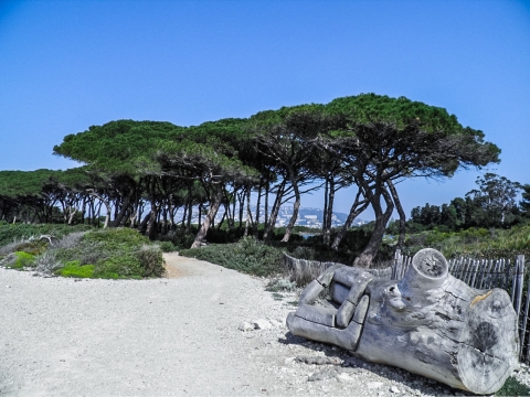 Rivages de l'ile Sainte Marguerite