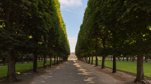 Jardin du Luxembourg