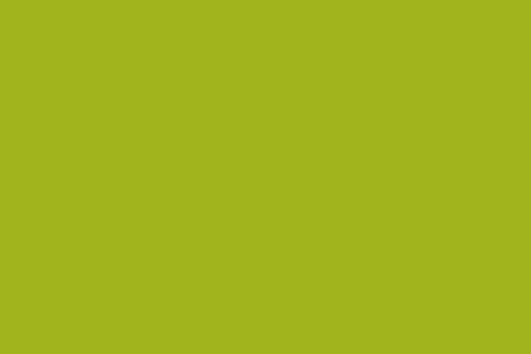 background de couleur verte